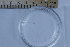  ( - CCDB-31224-D11)  @11 [ ] Creative Commons - Attribution Non-Commercial Share-Alike  (2021) Jessica Schultz University of Guelph