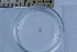  ( - CCDB-31224-E02)  @11 [ ] Creative Commons - Attribution Non-Commercial Share-Alike  (2021) Jessica Schultz University of Guelph