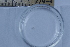  ( - CCDB-31224-E04)  @11 [ ] Creative Commons - Attribution Non-Commercial Share-Alike  (2021) Jessica Schultz University of Guelph