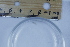  ( - CCDB-31224-F06)  @11 [ ] Creative Commons - Attribution Non-Commercial Share-Alike  (2021) Jessica Schultz University of Guelph