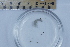  ( - CCDB-31225-B02)  @11 [ ] Creative Commons - Attribution Non-Commercial Share-Alike  (2021) Jessica Schultz University of Guelph