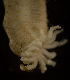  ( - CCDB-31225-B02)  @11 [ ] Creative Commons - Attribution Non-Commercial Share-Alike  (2021) Jessica Schultz University of Guelph