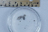 ( - CCDB-31225-B06)  @11 [ ] Creative Commons - Attribution Non-Commercial Share-Alike  (2021) Jessica Schultz University of Guelph