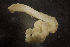  ( - CCDB-31230-A10)  @11 [ ] Creative Commons - Attribution Non-Commercial Share-Alike  (2021) Jessica Schultz University of Guelph