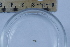  ( - CCDB-31230-A10)  @11 [ ] Creative Commons - Attribution Non-Commercial Share-Alike  (2021) Jessica Schultz University of Guelph