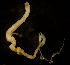  ( - CCDB-31230-A12)  @11 [ ] Creative Commons - Attribution Non-Commercial Share-Alike  (2021) Jessica Schultz University of Guelph