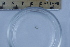  ( - CCDB-31230-A12)  @11 [ ] Creative Commons - Attribution Non-Commercial Share-Alike  (2021) Jessica Schultz University of Guelph