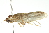  ( - 09-NSWHH-1982)  @12 [ ] CreativeCommons - Attribution (2010) CBG Photography Group Centre for Biodiversity Genomics