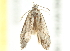  ( - 09-NSWHH-1990)  @12 [ ] CreativeCommons - Attribution (2010) CBG Photography Group Centre for Biodiversity Genomics
