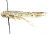  ( - 09-NSWHH-2000)  @13 [ ] CreativeCommons - Attribution (2010) CBG Photography Group Centre for Biodiversity Genomics