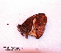  ( - McGuire09-CAL-Sat88)  @12 [ ] Unspecified (default): All Rights Reserved  Unspecified Unspecified