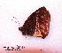  ( - McGuire09-CAL-Sat89)  @12 [ ] Unspecified (default): All Rights Reserved  Unspecified Unspecified