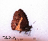  ( - McGuire09-CAL-Sat92)  @12 [ ] Unspecified (default): All Rights Reserved  Unspecified Unspecified
