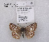  ( - McGuire09-DR-Skip83)  @13 [ ] Unspecified (default): All Rights Reserved  Unspecified Unspecified