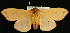  ( - UBC-2006-0259)  @13 [ ] Unspecified (default): All Rights Reserved  Unspecified Unspecified