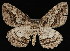  ( - UBC-2006-1879)  @14 [ ] Unspecified (default): All Rights Reserved  Unspecified Unspecified