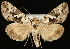  ( - UBC-2006-1990)  @14 [ ] Unspecified (default): All Rights Reserved  Unspecified Unspecified