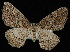  ( - UBC-2006-2000)  @14 [ ] Unspecified (default): All Rights Reserved  Unspecified Unspecified