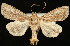  ( - UBC-2006-2074)  @13 [ ] Unspecified (default): All Rights Reserved  Unspecified Unspecified
