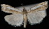  ( - UBC-2006-2094)  @14 [ ] Unspecified (default): All Rights Reserved  Unspecified Unspecified