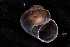  ( - 130363_01)  @11 [ ] Creative Commons BY NC SA (2025) University of Bergen Natural History Collections
