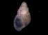  ( - 138157_01)  @11 [ ] Creative Commons BY NC SA (2025) University of Bergen Natural History Collections
