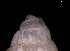  ( - 138157_02)  @11 [ ] Creative Commons BY NC SA (2025) University of Bergen Natural History Collections