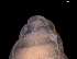  ( - 138157_03)  @11 [ ] Creative Commons BY NC SA (2025) University of Bergen Natural History Collections