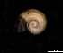  ( - 139392_01)  @11 [ ] Creative Commons BY NC SA (2025) University of Bergen Natural History Collections
