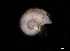  ( - 139392_02)  @11 [ ] Creative Commons BY NC SA (2025) University of Bergen Natural History Collections