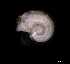  ( - 139392_02)  @11 [ ] Creative Commons BY NC SA (2025) University of Bergen Natural History Collections