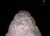  ( - 139420)  @11 [ ] Creative Commons BY NC SA (2025) University of Bergen Natural History Collections