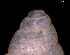  ( - 139420)  @11 [ ] Creative Commons BY NC SA (2025) University of Bergen Natural History Collections