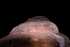  ( - 140747)  @11 [ ] Creative Commons BY NC SA (2025) University of Bergen Natural History Collections