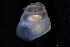  ( - 147497)  @11 [ ] Creative Commons BY NC SA (2025) University of Bergen Natural History Collections