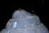  ( - 148963_01)  @11 [ ] Creative Commons BY NC SA (2025) University of Bergen Natural History Collections
