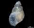  ( - 154145_01)  @11 [ ] Creative Commons BY NC SA (2025) University of Bergen Natural History Collections