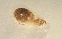  ( - 160758)  @11 [ ] Creative Commons BY NC SA (2025) University of Bergen Natural History Collections