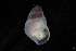  ( - 160773)  @11 [ ] Creative Commons BY NC SA (2025) University of Bergen Natural History Collections