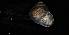  ( - 160780_01)  @11 [ ] Creative Commons BY NC SA (2024) University of Bergen Natural History Collections