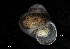  ( - 160780_02)  @11 [ ] Creative Commons BY NC SA (2024) University of Bergen Natural History Collections