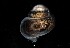  ( - 160780_02)  @11 [ ] Creative Commons BY NC SA (2024) University of Bergen Natural History Collections