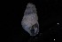  ( - 161957_02_V2)  @11 [ ] Creative Commons BY NC SA (2024) University of Bergen Natural History Collections
