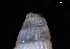  ( - 161957_02_V2)  @11 [ ] Creative Commons BY NC SA (2024) University of Bergen Natural History Collections