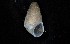  ( - 161971_01_V2)  @11 [ ] Creative Commons BY NC SA (2024) University of Bergen Natural History Collections