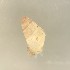  ( - 161971_01_V2)  @11 [ ] Creative Commons BY NC SA (2024) University of Bergen Natural History Collections