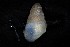  ( - 161971_01_V2)  @11 [ ] Creative Commons BY NC SA (2024) University of Bergen Natural History Collections