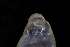  ( - 161972_05)  @11 [ ] Creative Commons BY NC SA (2025) University of Bergen Natural History Collections