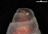  ( - 161977_02_V2)  @11 [ ] Creative Commons BY NC SA (2024) University of Bergen Natural History Collections