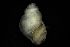  ( - 162005)  @11 [ ] Creative Commons BY NC SA (2025) University of Bergen Natural History Collections
